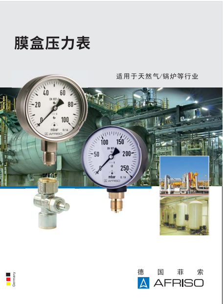 膜盒壓力表